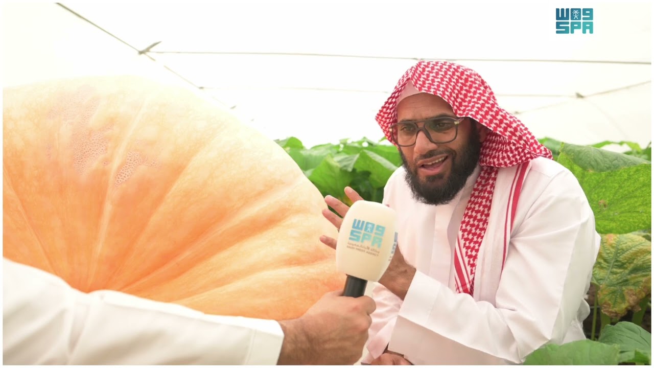 القرع 
