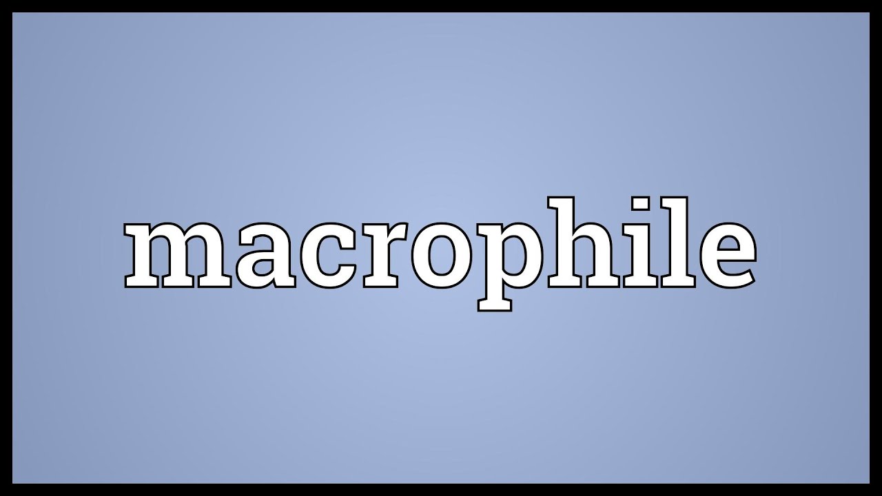 Macrophile Meaning