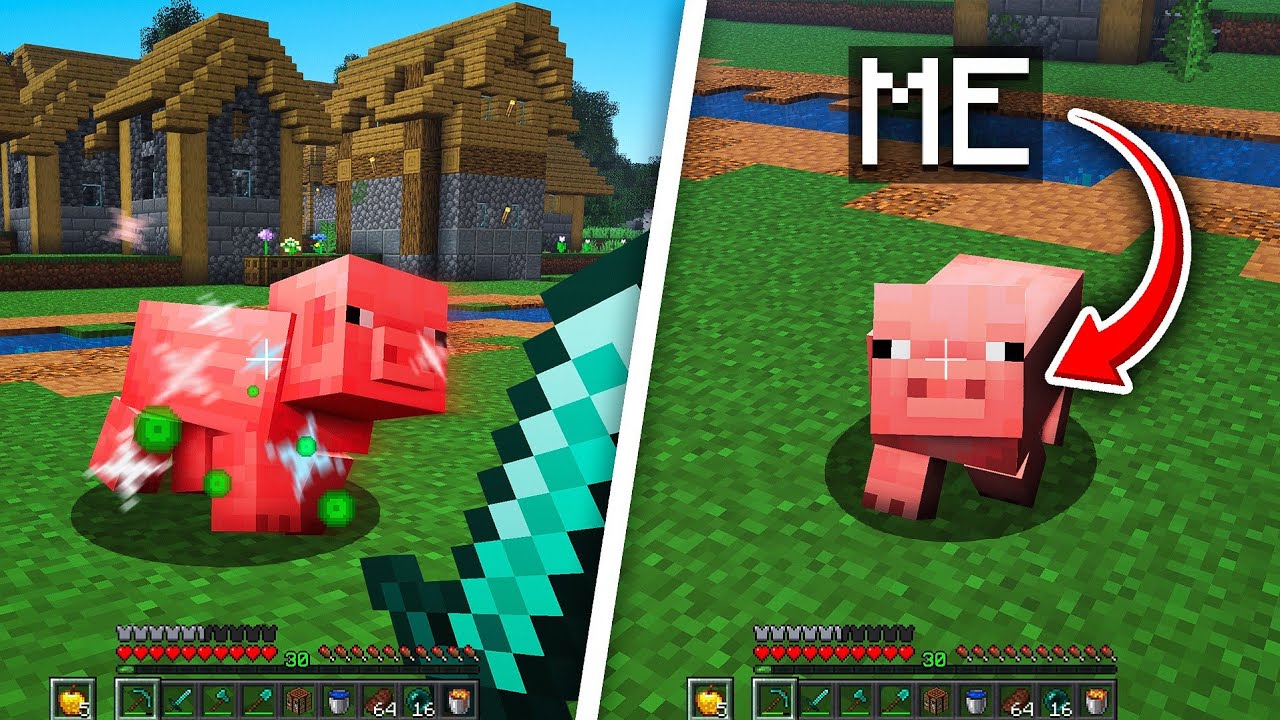 Minecraft But I Morph Into The Mobs I Kill