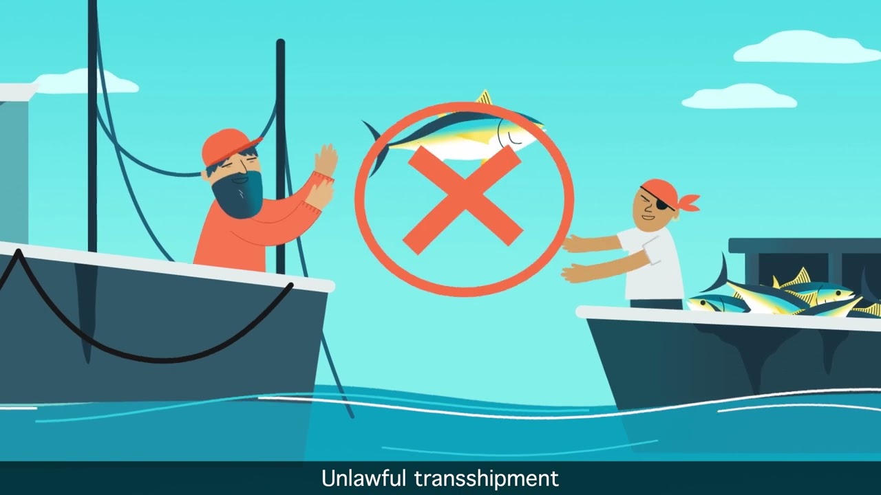 What is illegal, unreported and unregulated fishing
