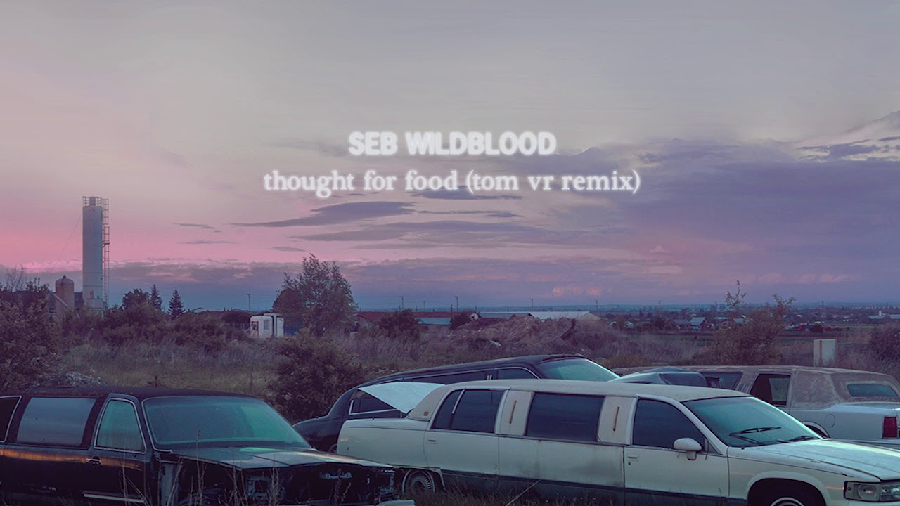 seb wildblood - thought for food ft. mauv (tom vr remix)
