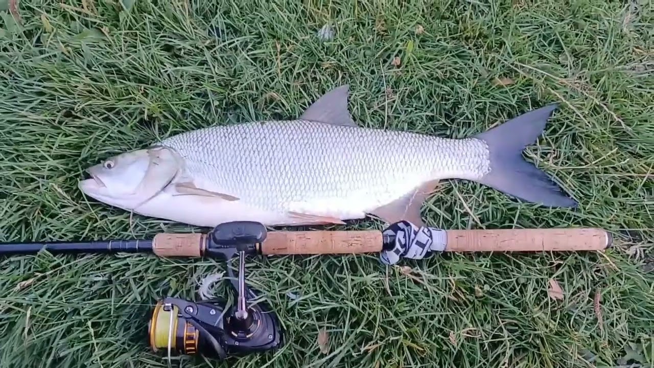 Fishing&NatureLove