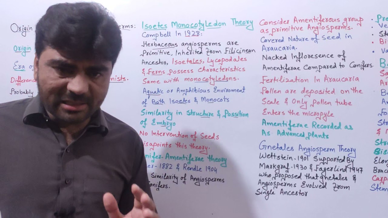 Origin and Evolution of Angiosperms | Theories of Origin Angiosperms @biologywithmuhammadsajid