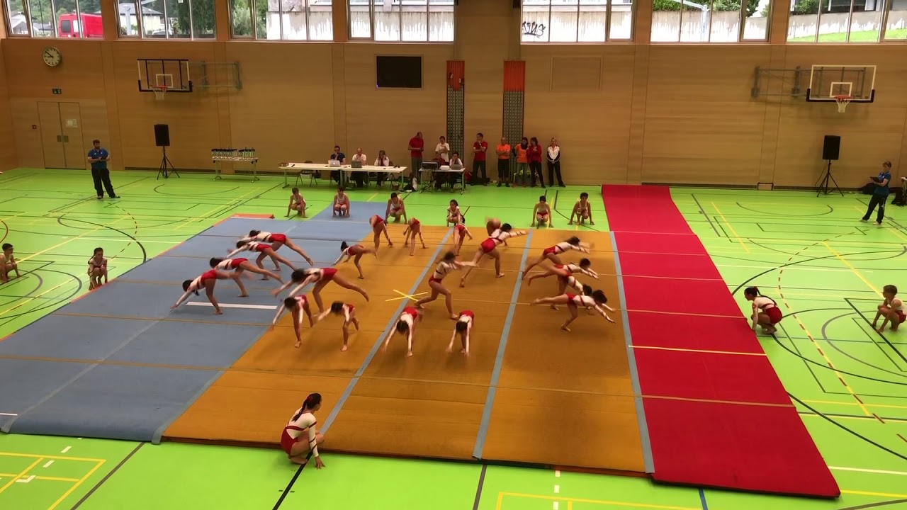Sfg Bellinzona sezione 2018