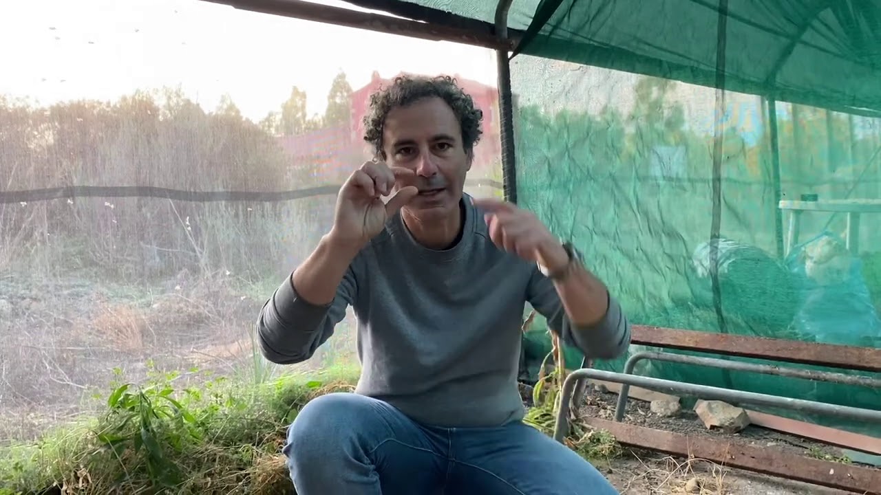Coltivare i funghi in casa (e non solo): QUANDO E QUANTO INNAFFIARE Dolceluna Sardegna