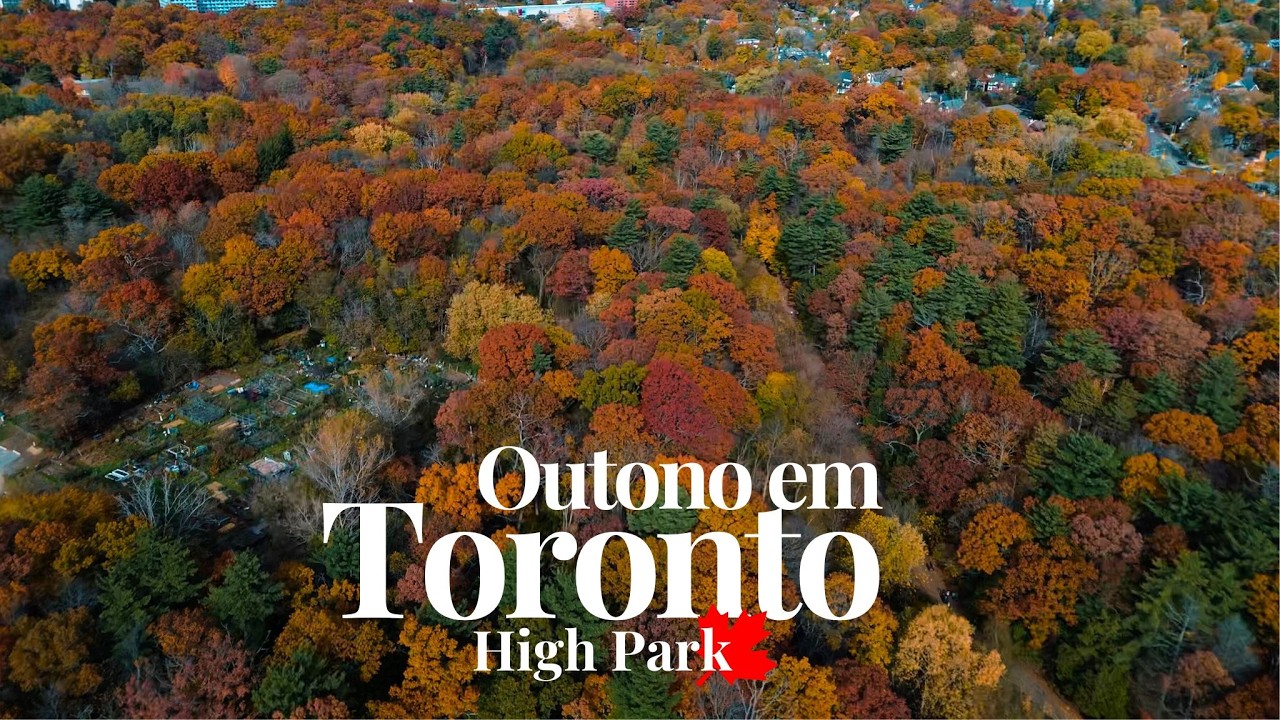 COMO &Eacute; UM DIA DE OUTONO EM TORONTO? - AS INCR&Iacute;VEIS CORES DO HIGH PARK - MORAR NO CANAD&Aacute; 🍁