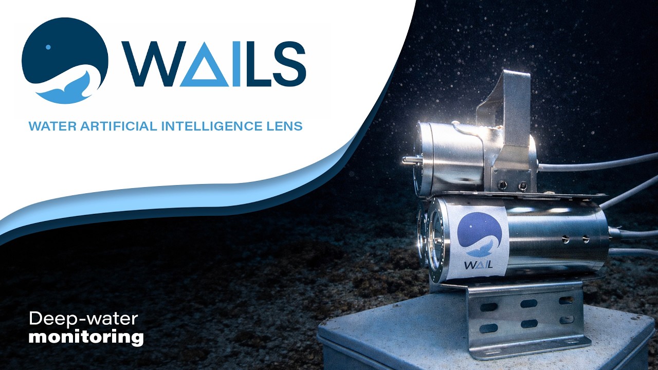 WAIL - Underwater Monitoring: How We Monitor and Safeguard Subsea Areas