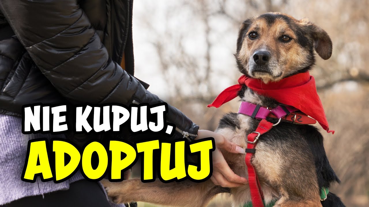 ADOPTUJ WARSZAWIAKA | Fort Bema 26.06.2022