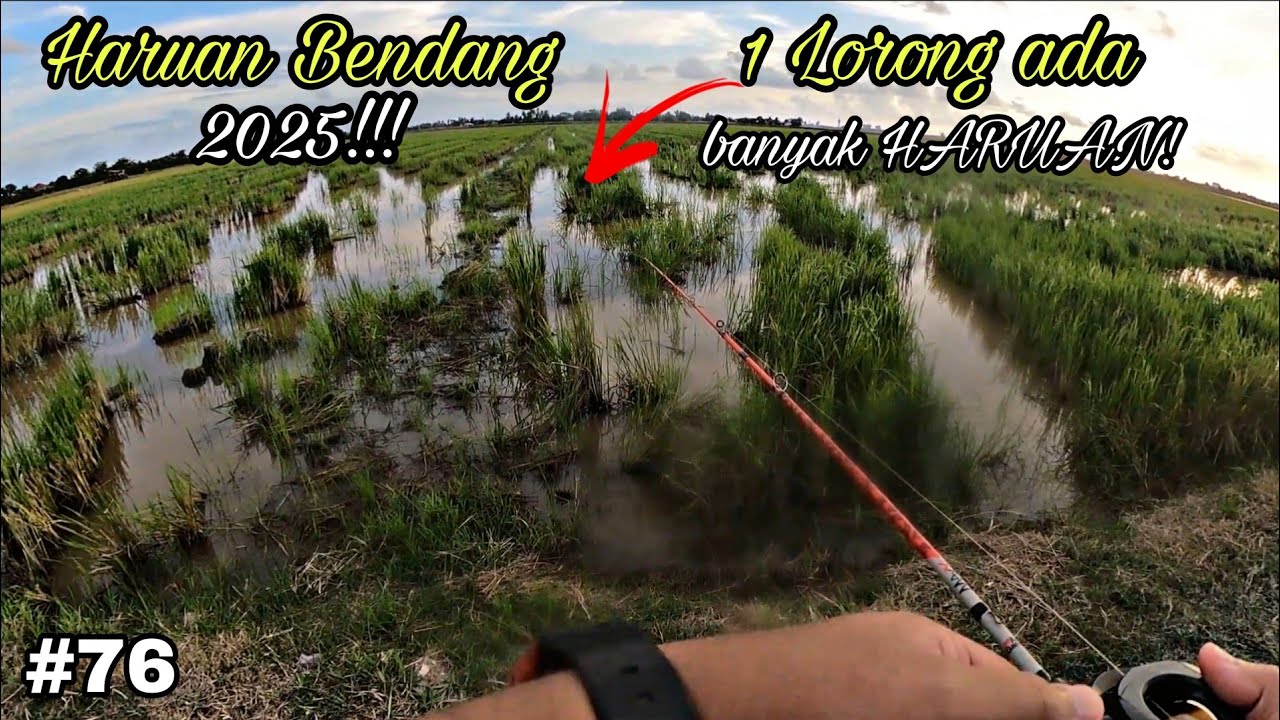 HARUAN BENDANG MEMANG KARAN!!!! | CASTING HARUAN | BURNLEGACY
