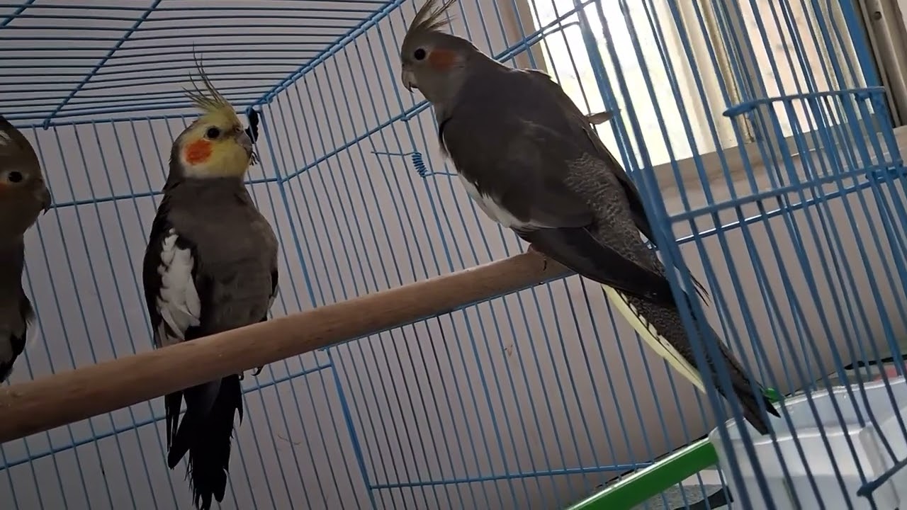 # manki baat# karam ka phal