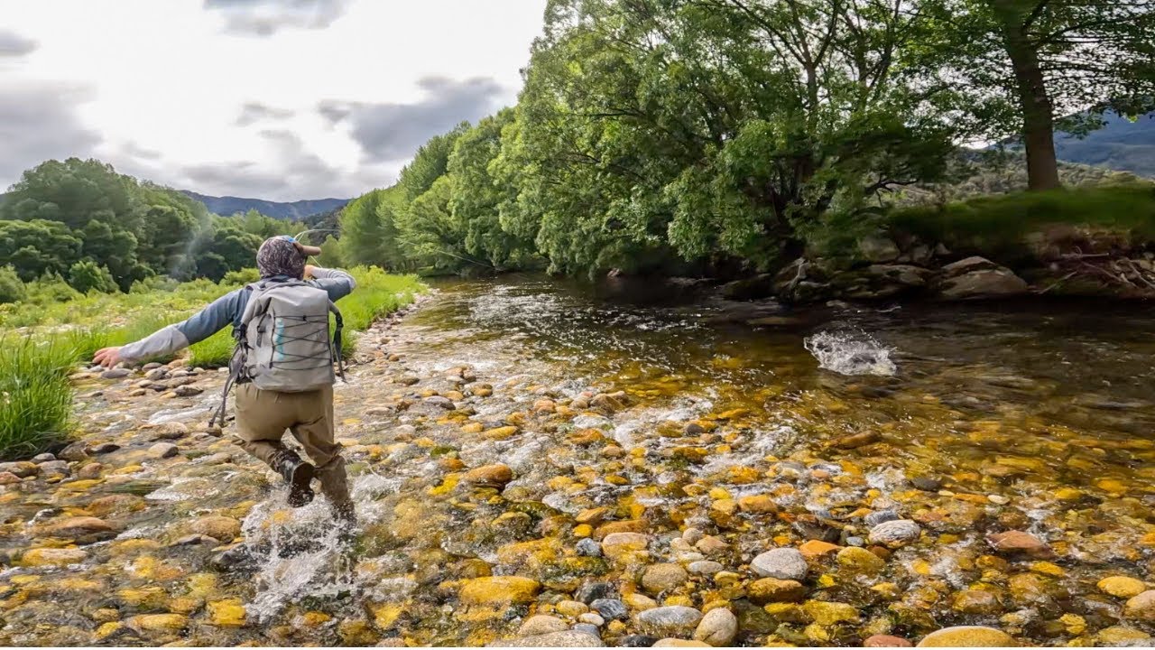 FLY FISHING Tough New Zealand River [BROWN TROUT]