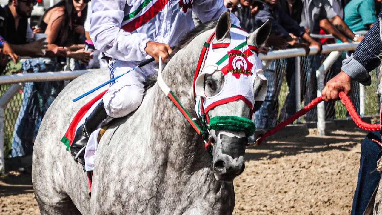 El Pobre C. LA ESPERANZA VS El Elegido C. EL TEXANO | Rancho El Texano, Cadereyta Nuevo León.