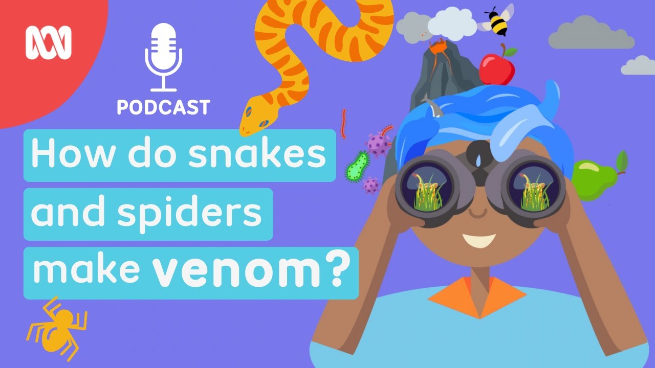 How do snakes and spiders make VENOM? 🐍🕷️ | Imagine This PODCAST | ABC Kids listen