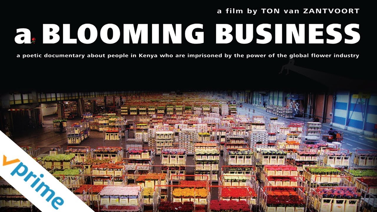 A Blooming Business | Trailer | Available Now