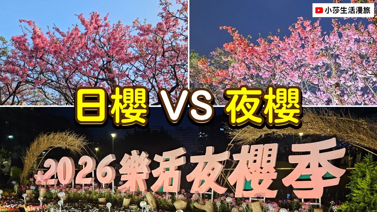 2026 樂活公園夜櫻季花況更新｜大年初五日櫻＋夜櫻一次看｜寒櫻・八重櫻・內溝溪步道全景｜小莎生活漫旅 LittleSaTravel