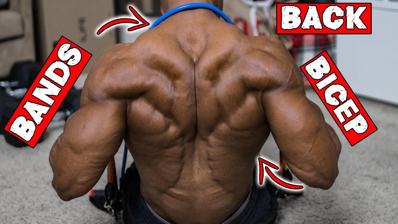 BACK AND BICEP WORKOUT AT HOME WITH RESISTANCE BAND ONLY!