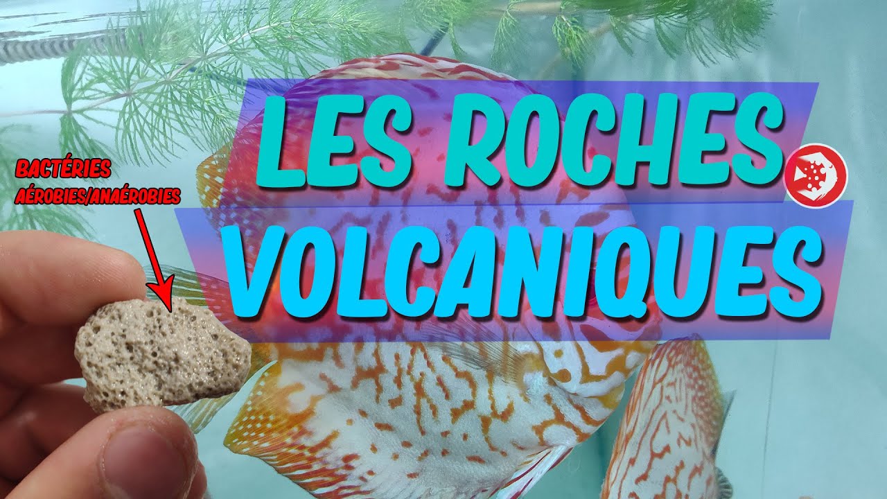 POUZZOLANE / PIERRE PONCE tout savoir sur LES ROCHES VOLCANIQUES ! Gab