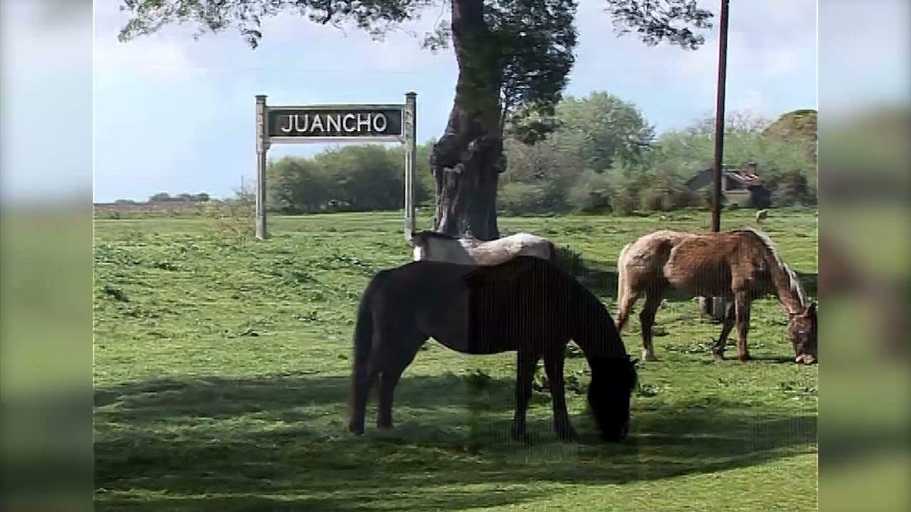 Descubriendo La Argentina Insólita - Programa 39