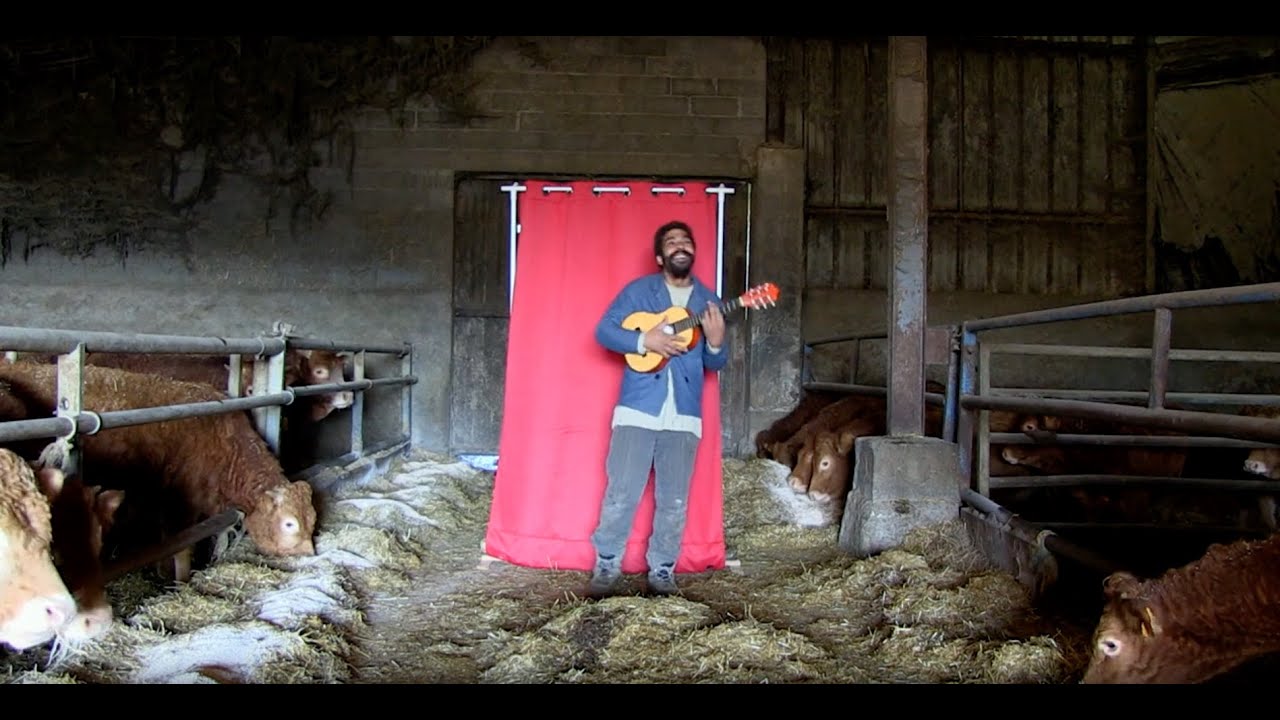 Repr&eacute;sentation pour Vaches - L&eacute;o Aniaba