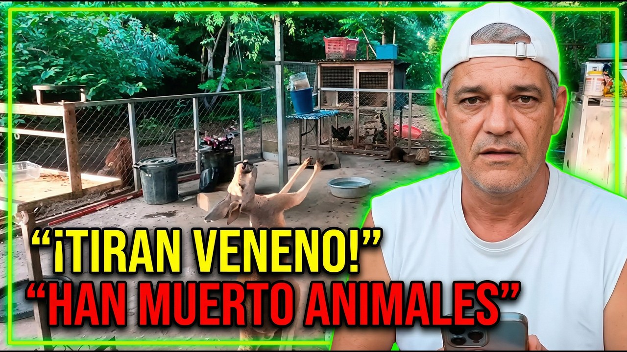 LO QUE HA PASADO EN EL SANTUARIO ES TERRIBLE...