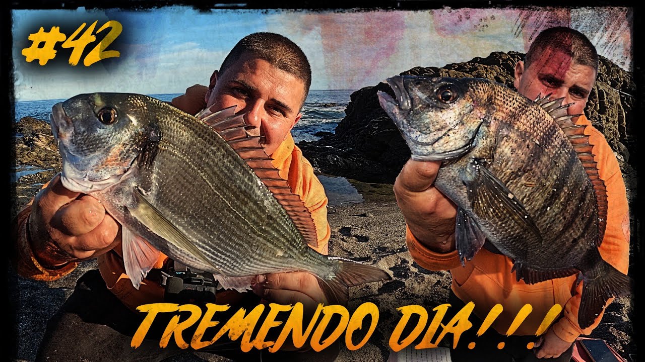 TREMENDA JORNADA de SURFCASTING con GRANDES CAPTURAS , DORADA de ENERO!!!