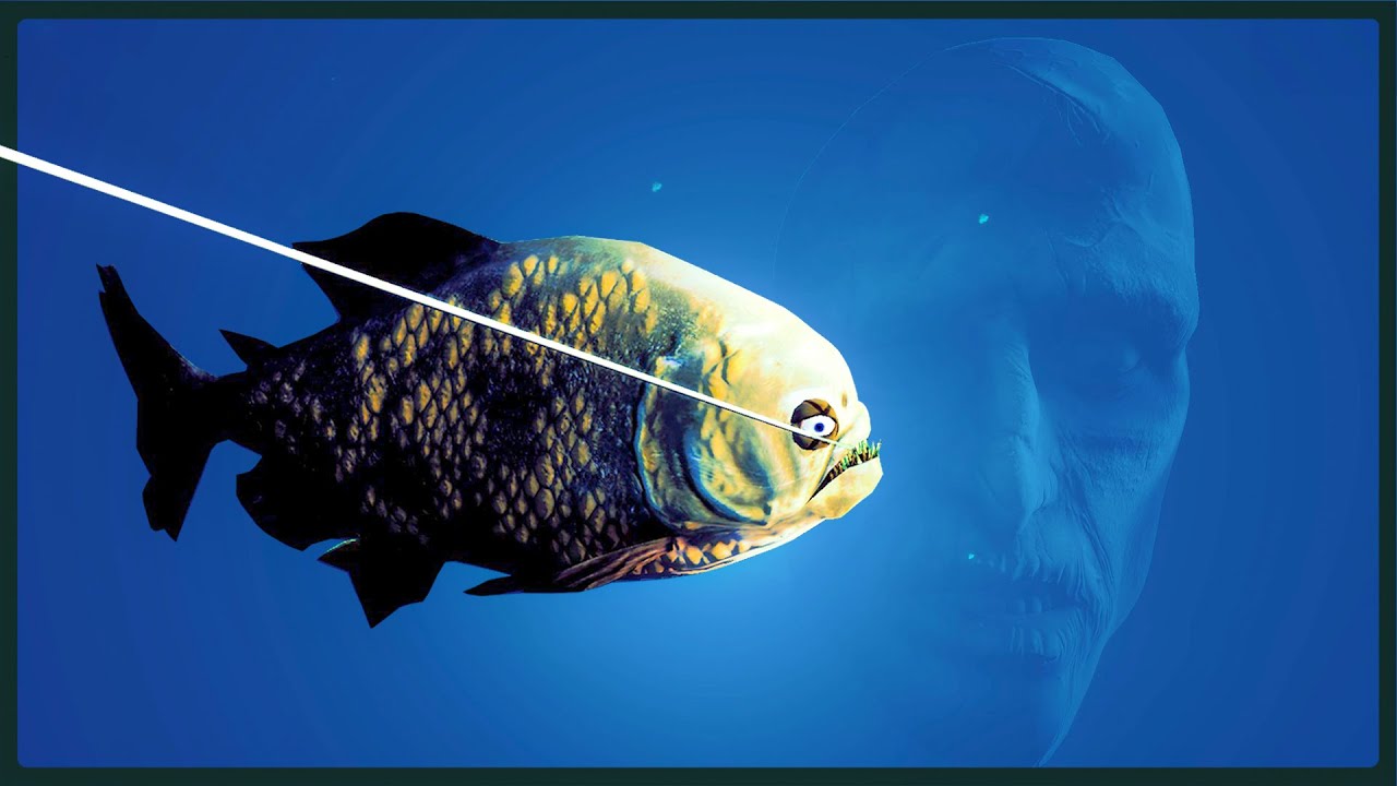 Not Your Average Fishing Simulator - Loan Shark