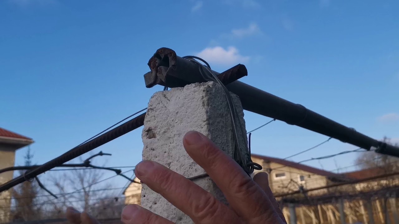 виноград на горизонтальной шпалере часть 2