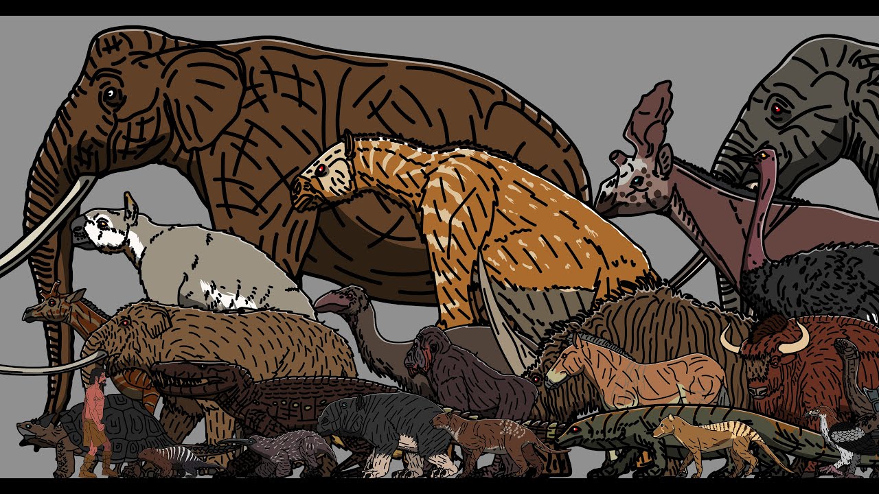 Extinct Africa, East Asia, Australia, Tasmania & New Zealand Herbivorous + Size Comparison(Animated)