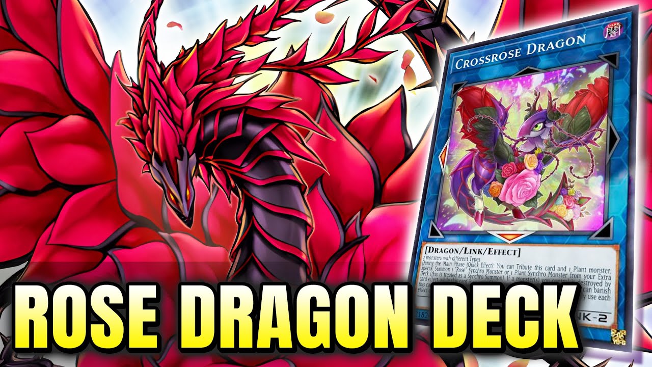 Rose Dragon/Plant Synchro Deck November 2025 | Dueling Nexus | Gameplay 🕹️ & Decklist ✅