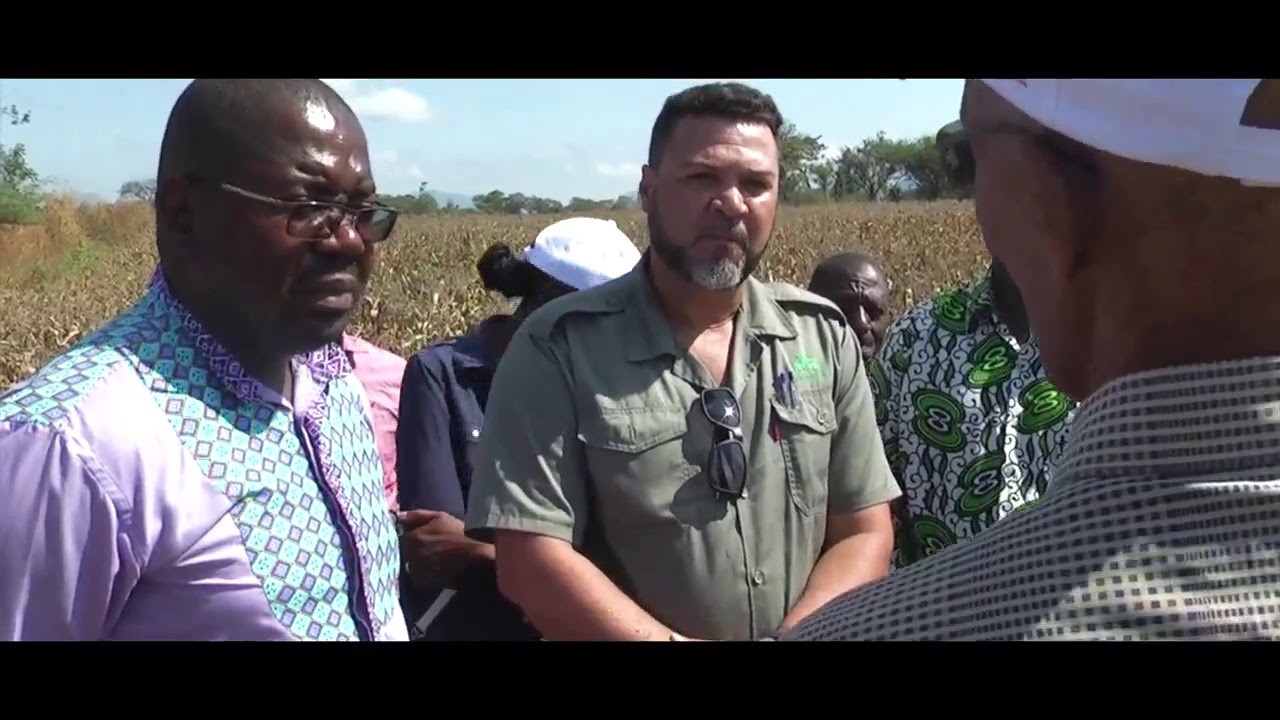 RIBÁUÈ - Campos de produção Agrícola do AGRO BUSINES ( Emanuel Impissa)