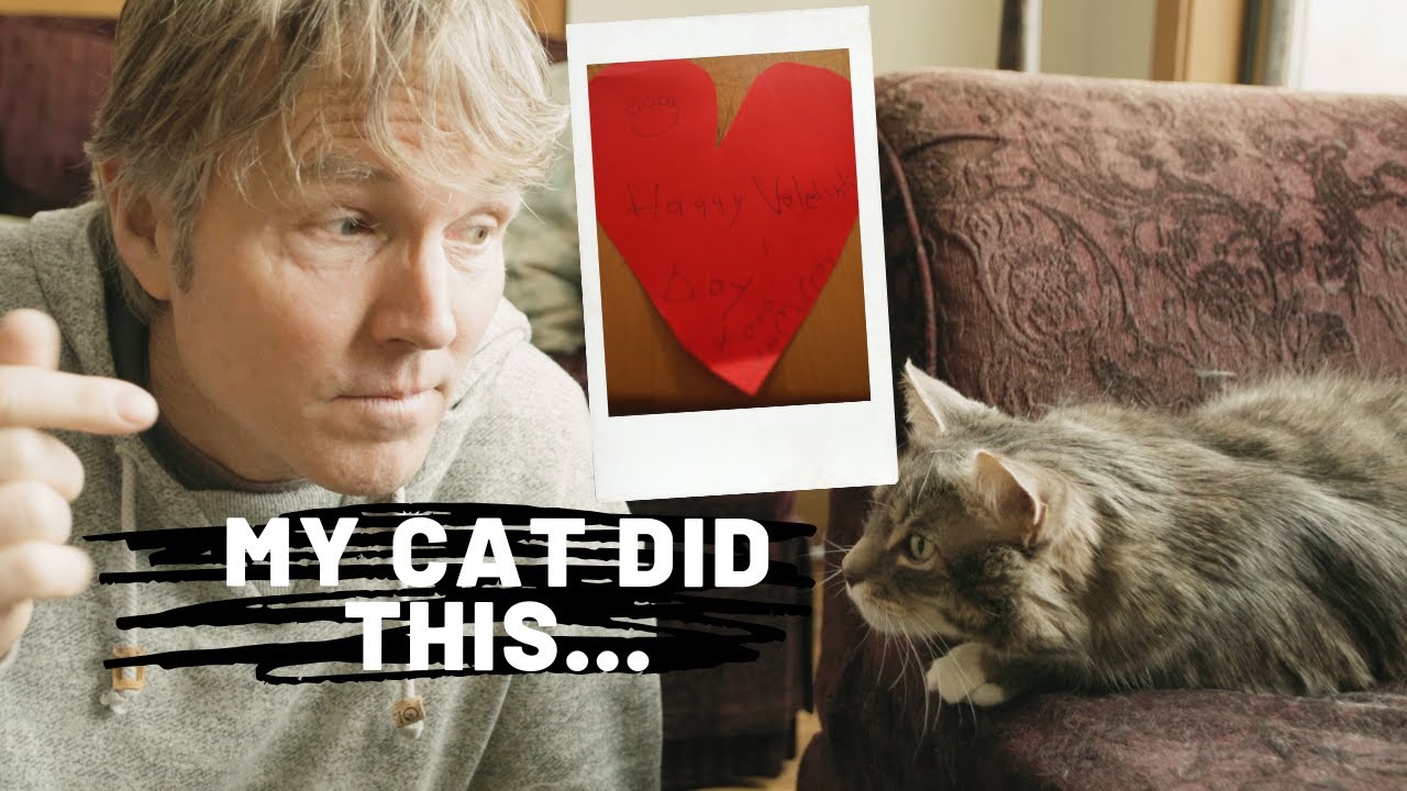 Why Your Cat Stares At You