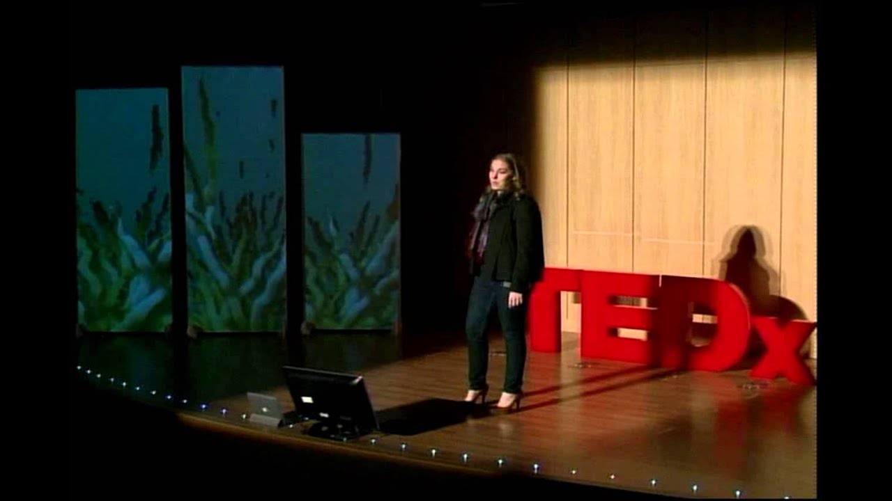 Arquitectura Sustentable: Minche Mena at TEDxCalzadaDeLosHeroes TheCity2.0
