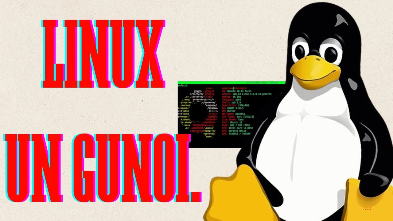 AM INCERCAT LINUX...