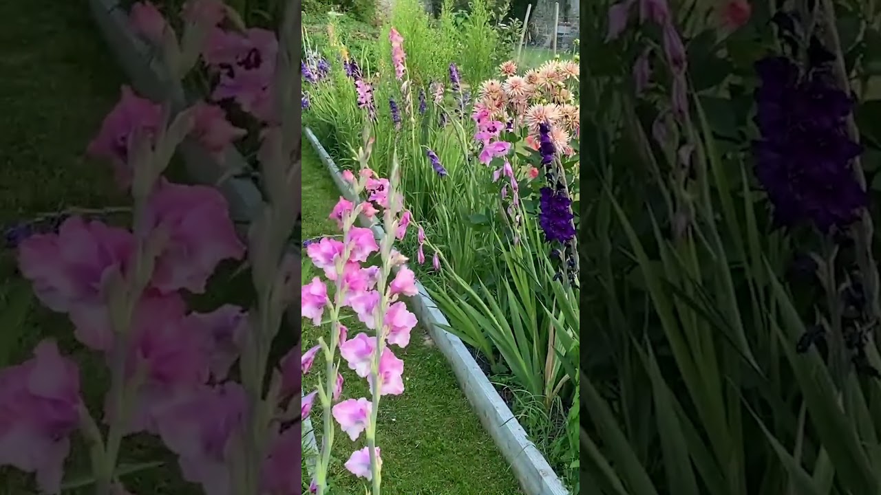 Chateau Garden | Mini Tour Of The Walled Garden #chateaulife #garden #chateaurenovation #gardening