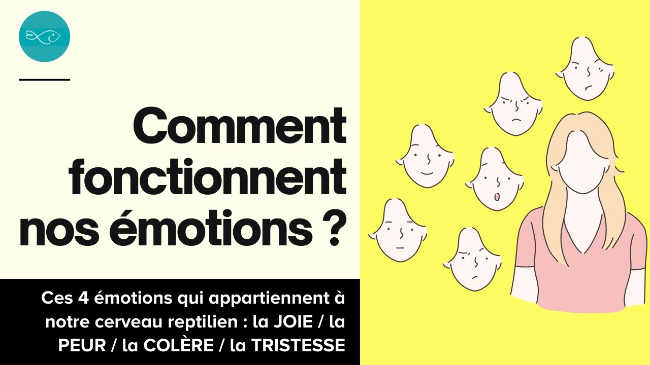 Comment fonctionnent nos émotions ?
