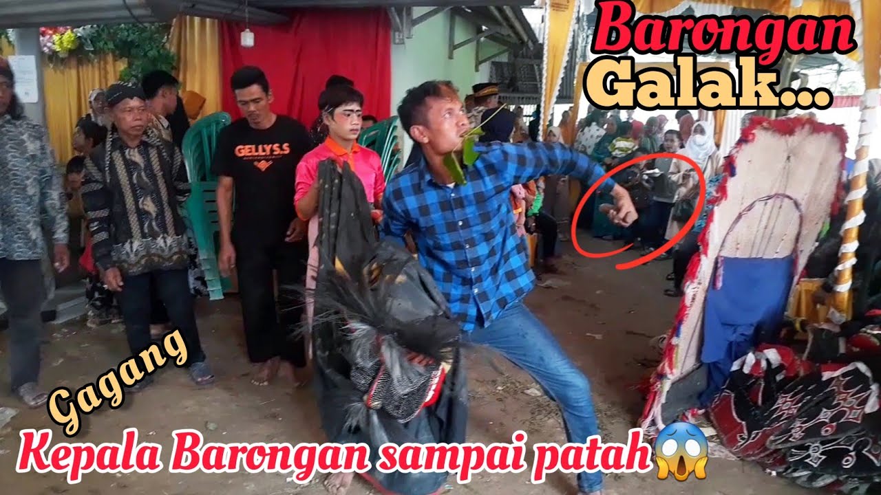 Barongan yang sangat Galak..‼️Gagang Kepala Barongan sampai patah😱//Turonggo setio//cikuning