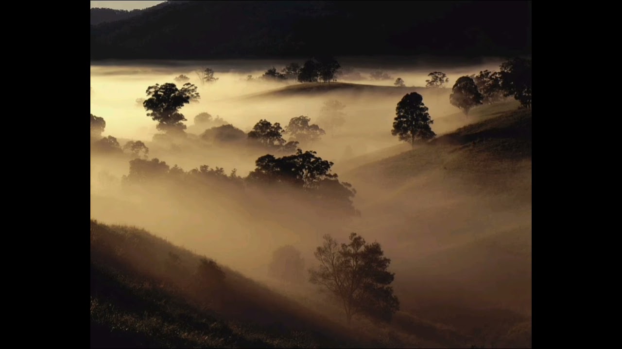 Queven - Morning Fog