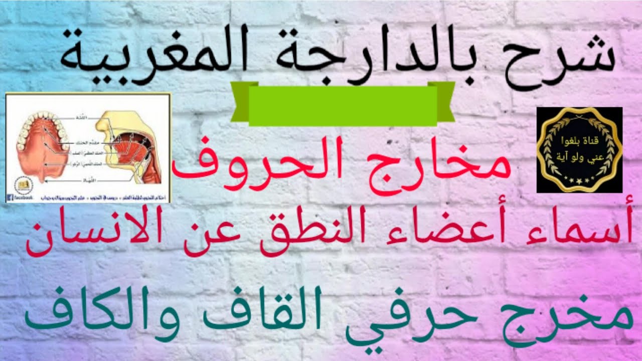 دروس مخارج الحروف (اسماء اعضاء النطق عند الانسان شرح مبسط ومفصل+مخرج القاف والكاف) بالدارجة المغربية