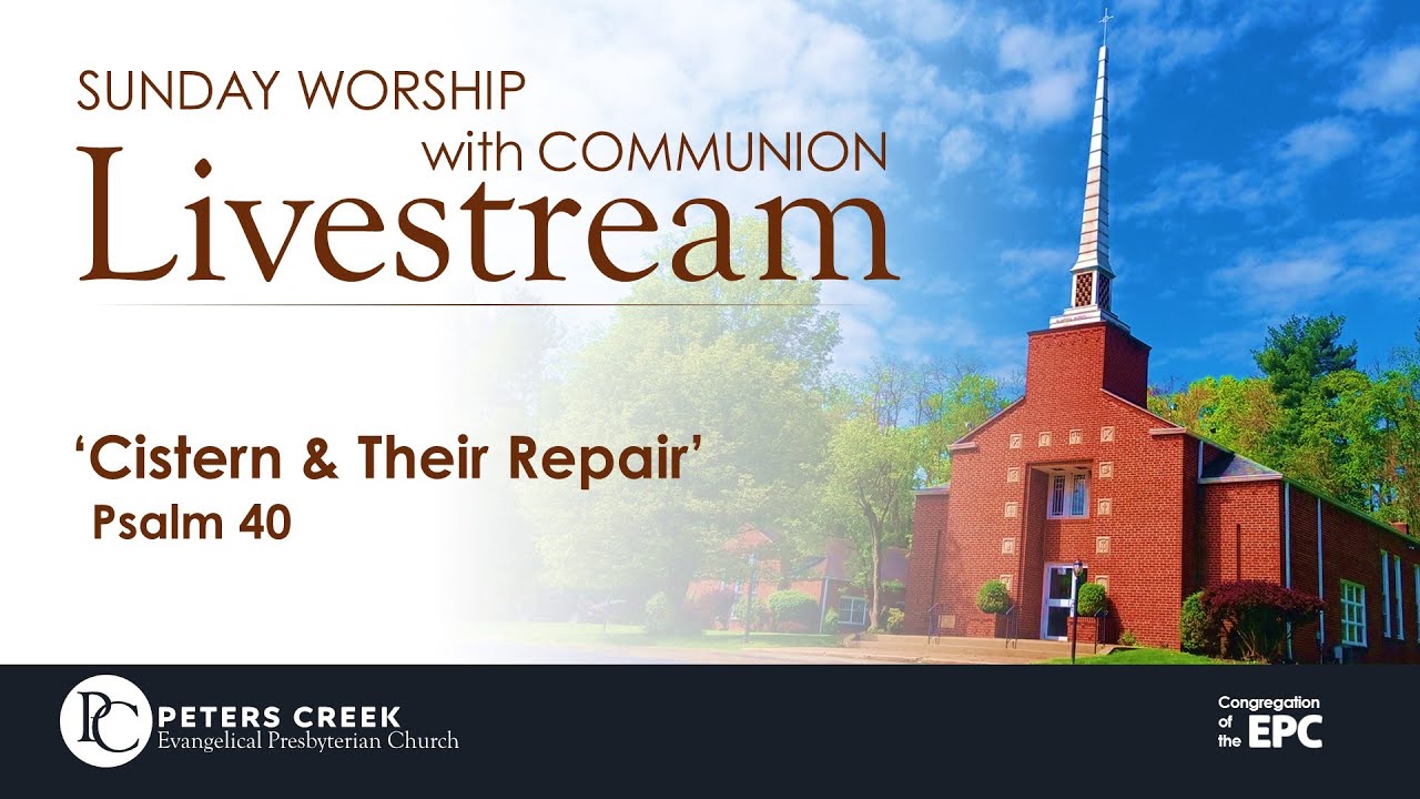 Old Cistern & Their Repair. Livestream