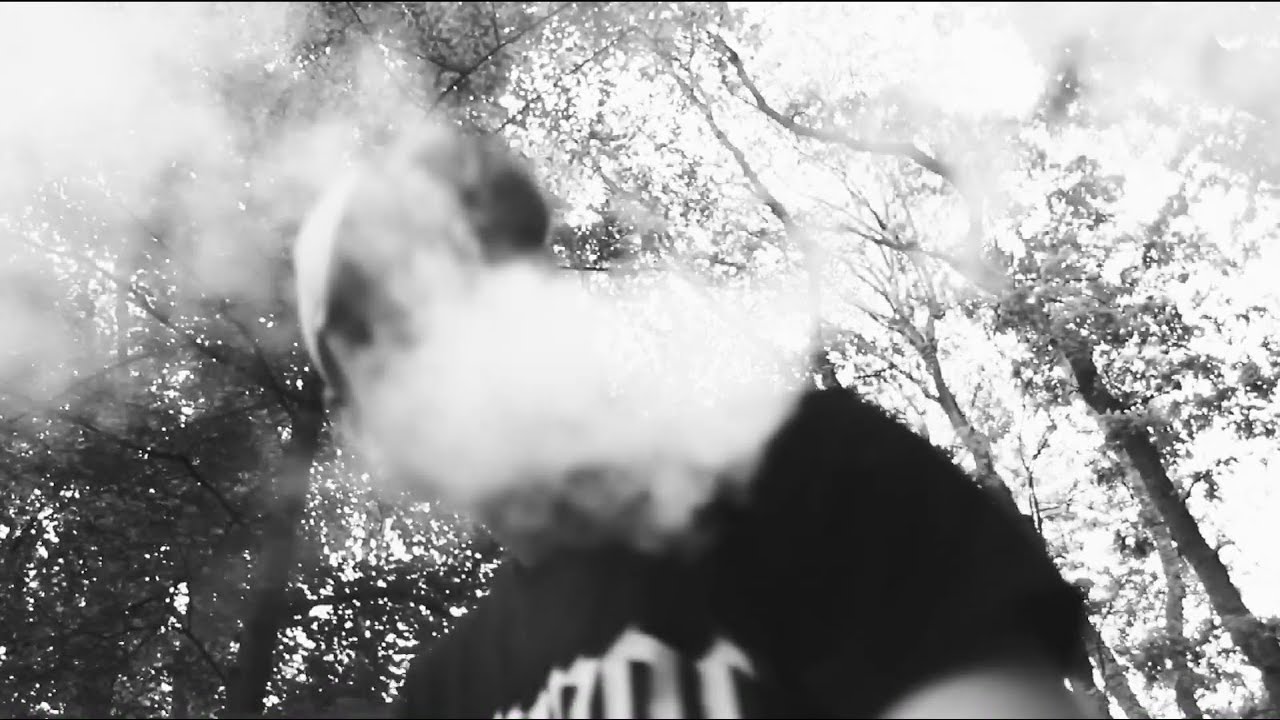 ADON - APOFENIA
