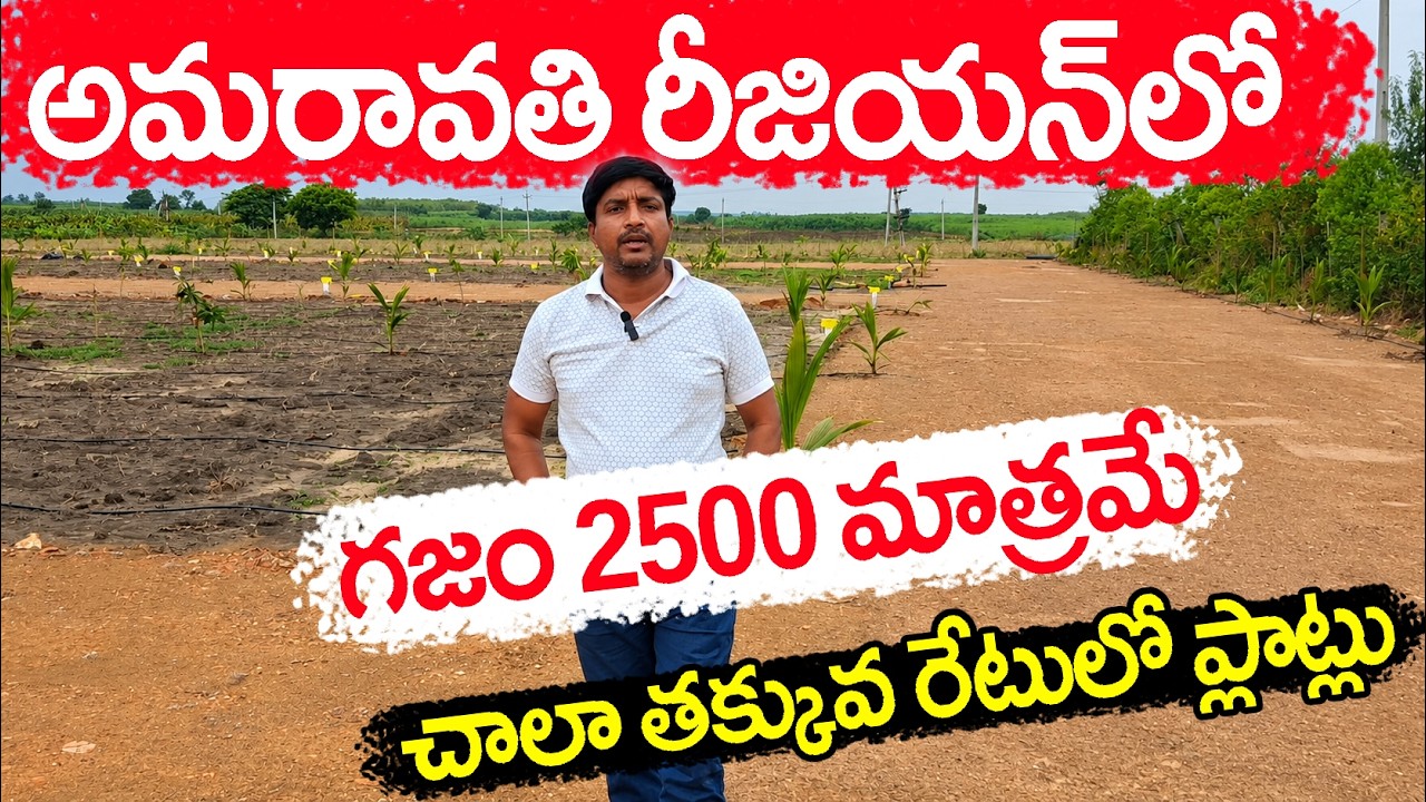 Very Low Cost Plots in Amaravathi Region 7207317577 Square Yard Only 2500 Rupees Plots at #Nandigama