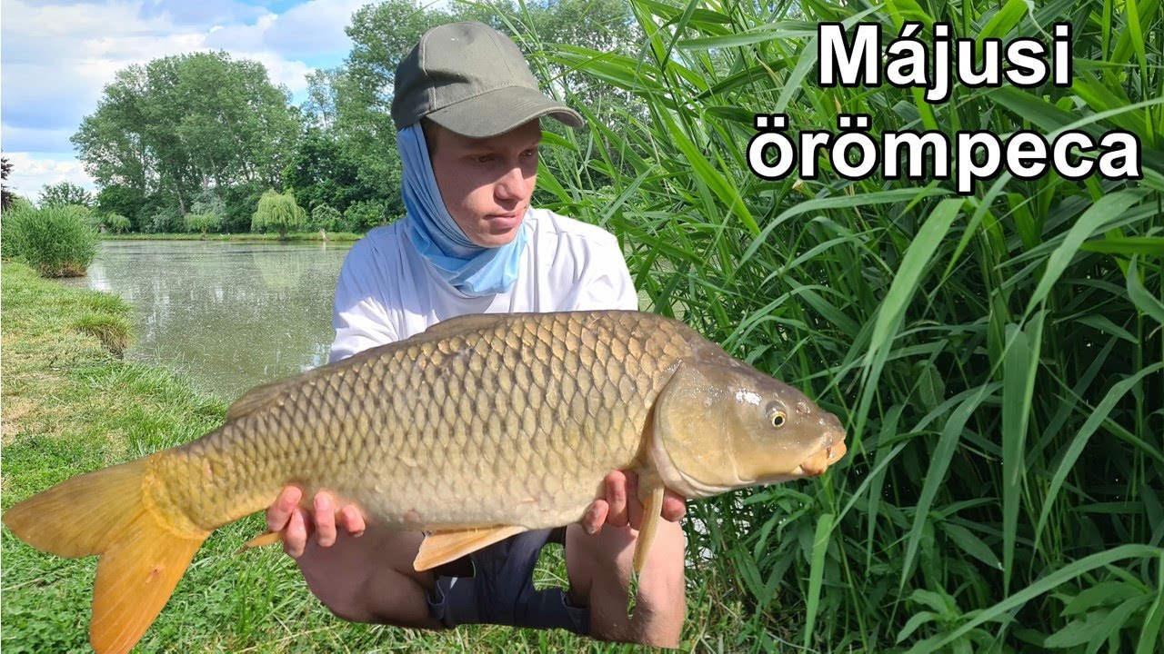 Májusi örömpeca - Method feeder praktikák felmelegedett vízben