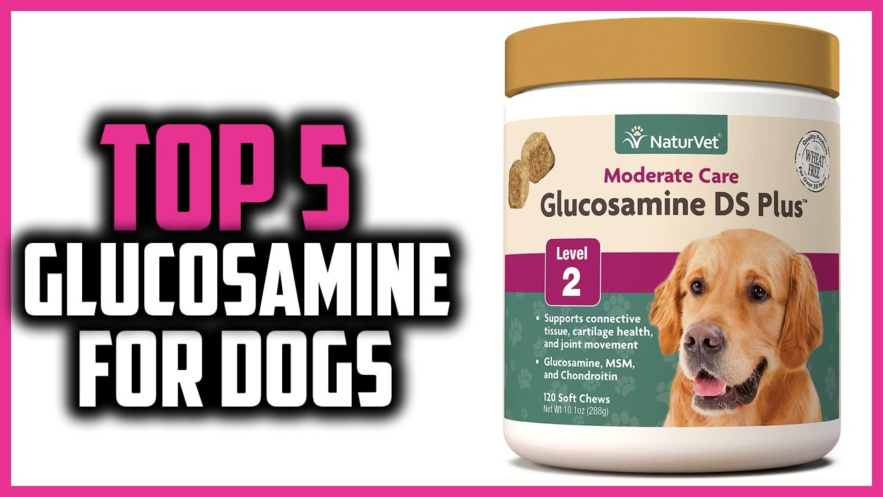 ✅Top 5 Best Glucosamine For Dogs of 2024