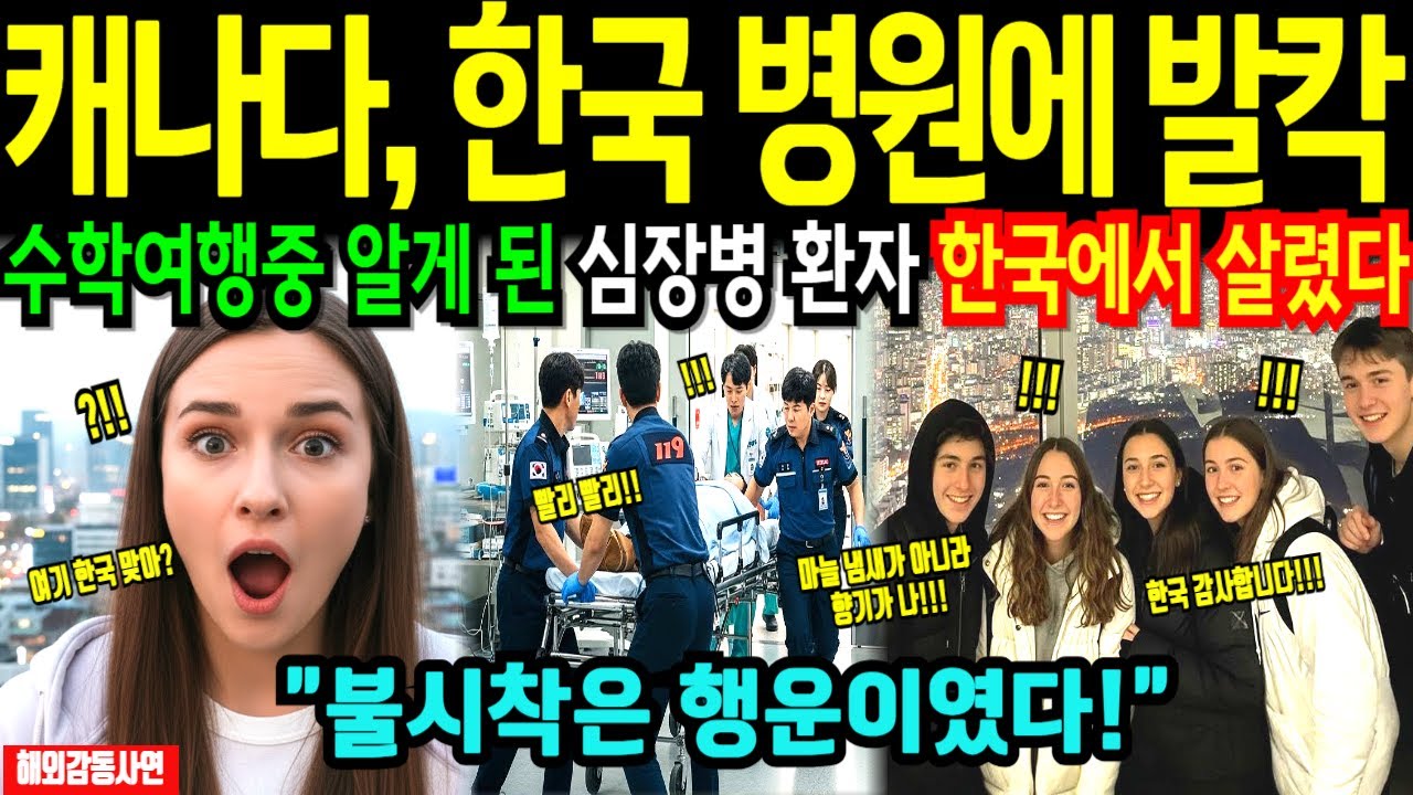 [해외감동사연] 폭설에 한국 인천공항 불시착한 캐나다 명문고 학생들 비상, 한국수학여행 병원 경험하고 충격! 한국행 입국대란에 전세계 발칵!