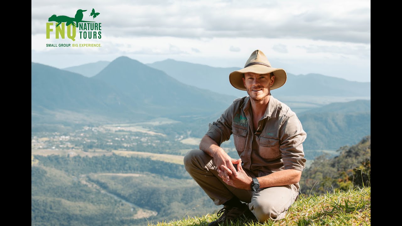The Nature and Wildlife of North Queensland with FNQ Nature Tours and Australian Wildlife Journeys
