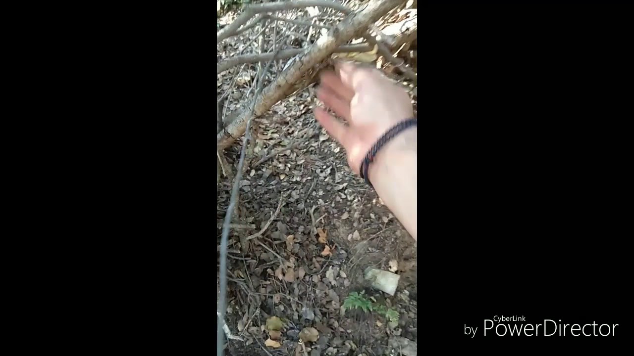 Λαθροθηρία με θηλιές για αγριογούρουνα