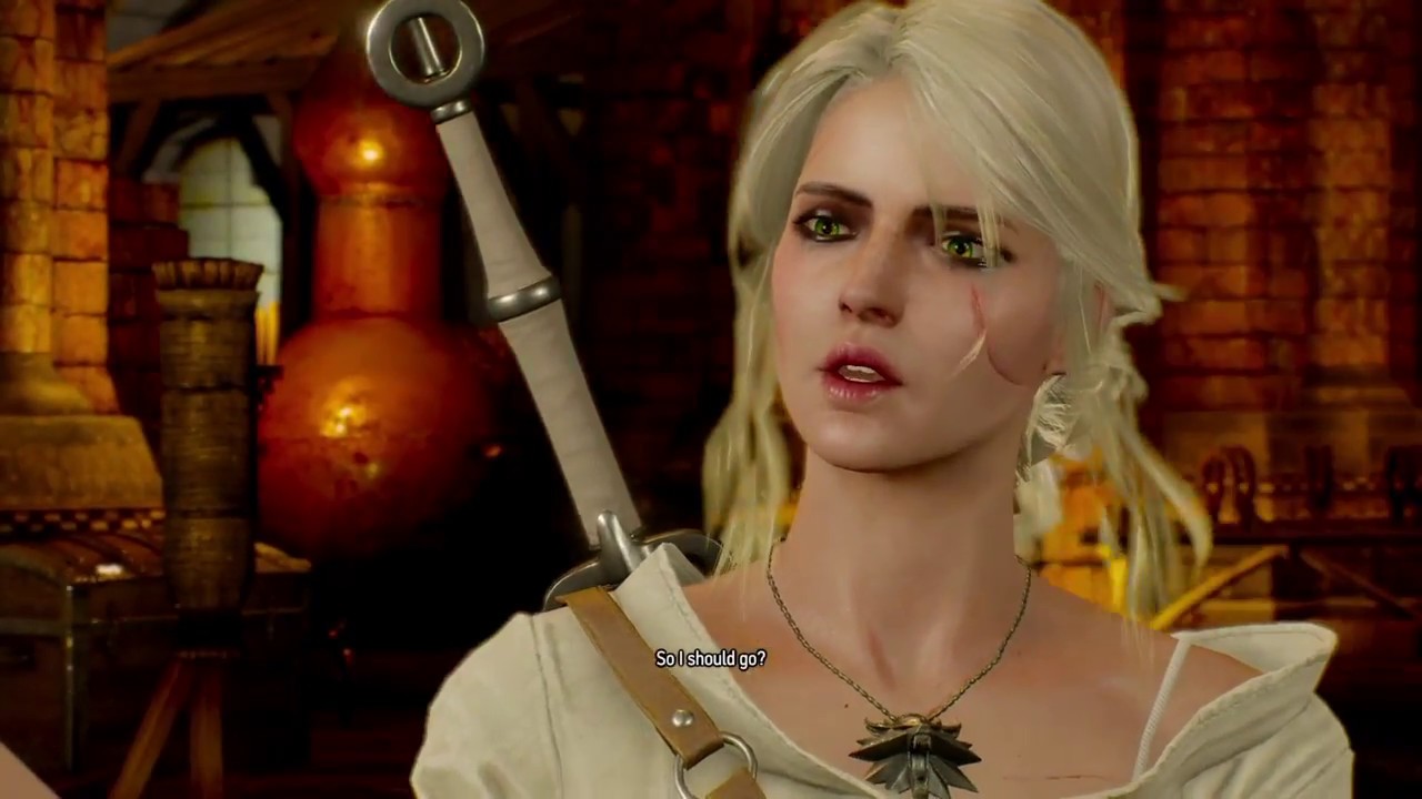 Ciri meets with Emperor Emhyr - The Witcher 3: Wild Hunt