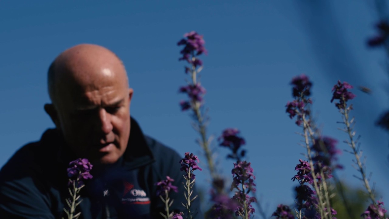 The Head Gardener at Áras an Uachtaráin on his dream job