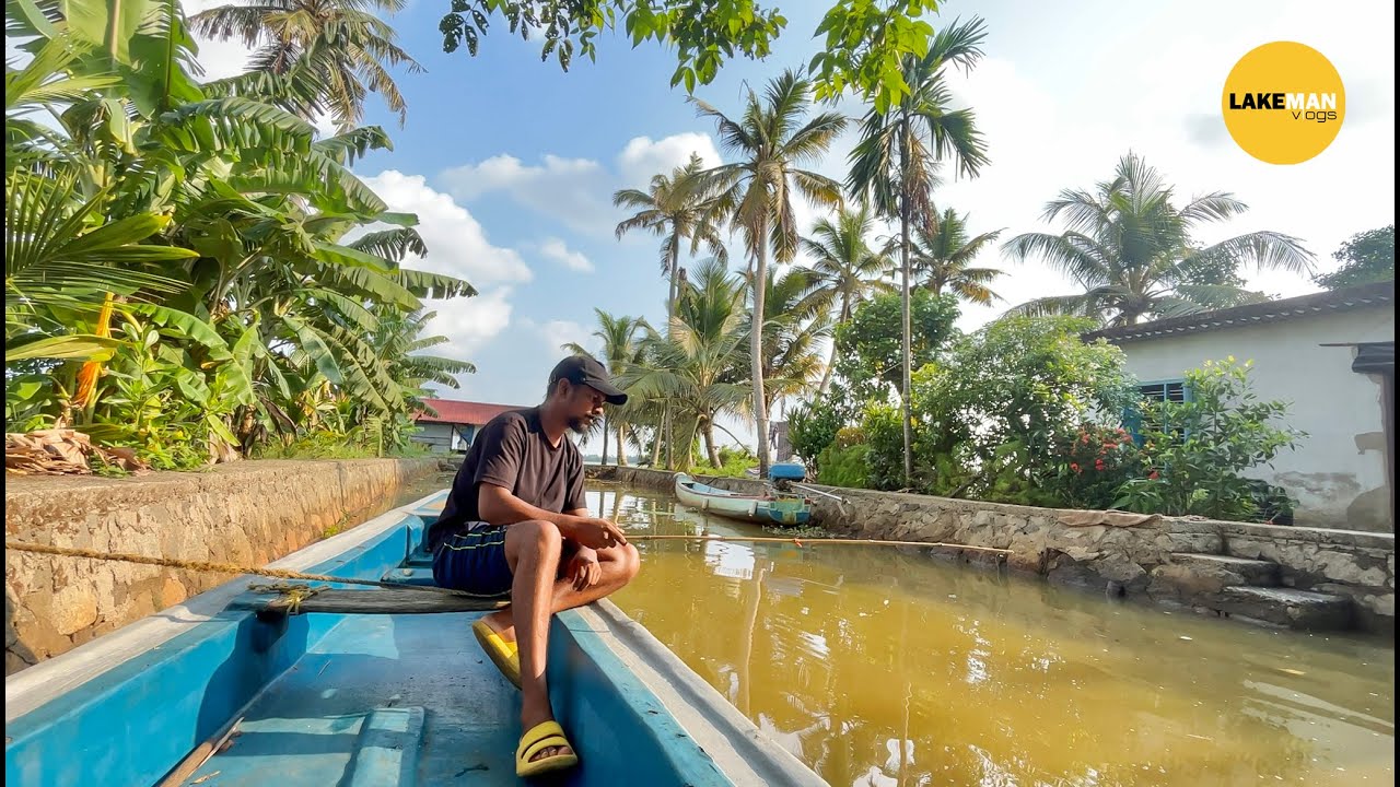 ചെമ്പല്ലി തോട്ടിൽ ചെമ്പല്ലി പിടിക്കാൻ നാടൻ ചൂണ്ടയുമായി പോയപ്പോൾ Kuttanadu Village Fishing #fishing
