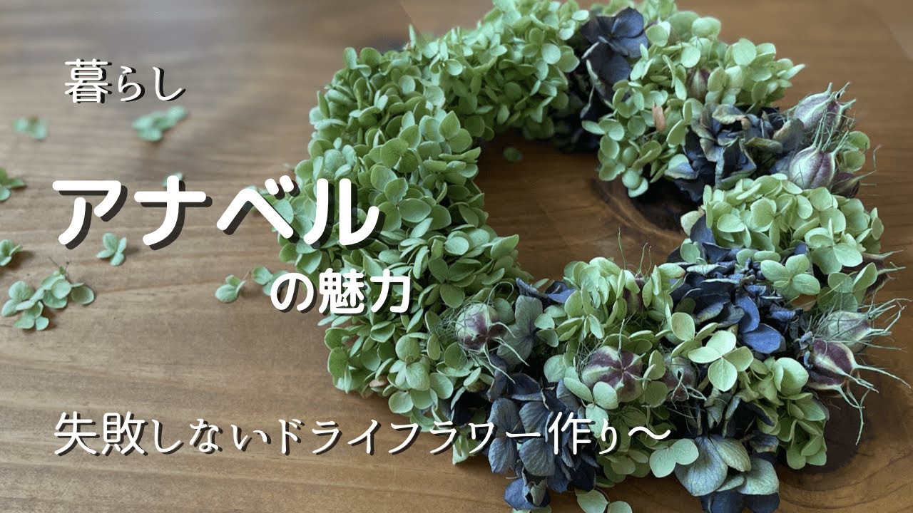 【暮らしのvlog】家にある材料でリースづくり/アナベルのフラワーボールづくり/ペットボトルで挿し木/アナベルを楽しむ暮らし